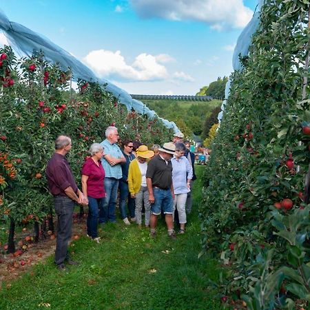 Vakantie Oord Zonnehoeve ファルケンブルフ エクステリア 写真