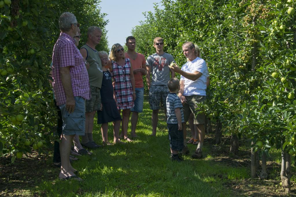 Vakantie Oord Zonnehoeve ファルケンブルフ エクステリア 写真