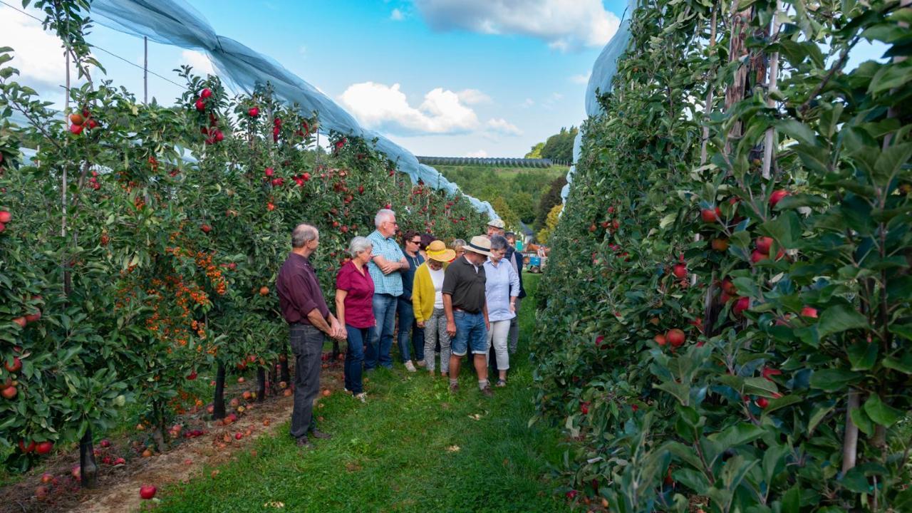Vakantie Oord Zonnehoeve ファルケンブルフ エクステリア 写真